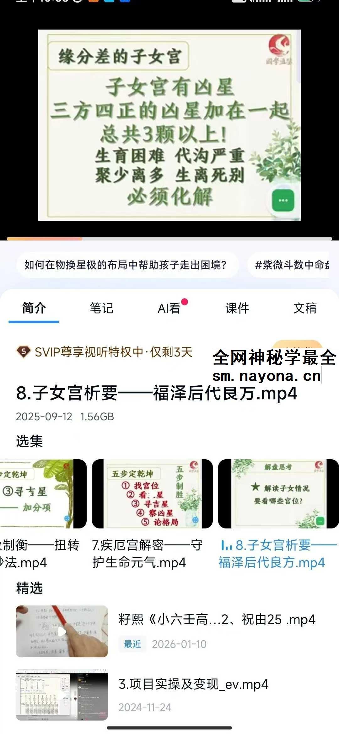 清合快速了解紫薇11集视频