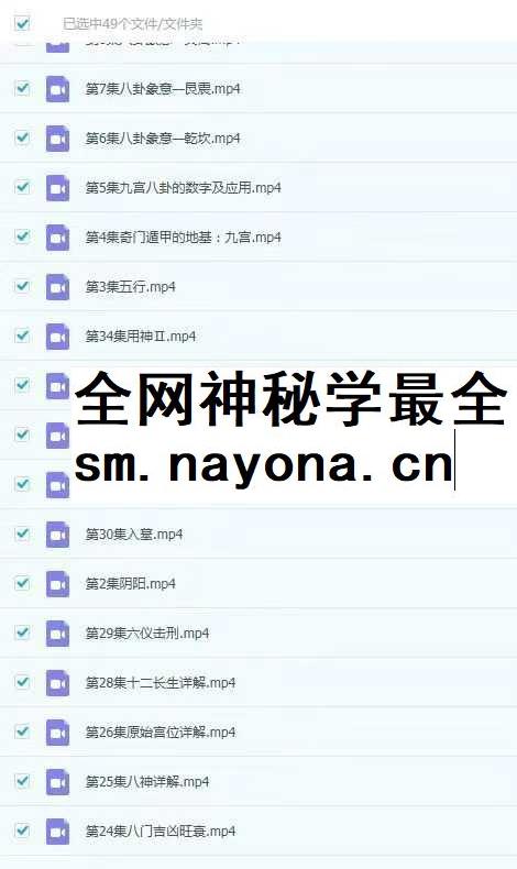 罗江普 时家奇门49集视频