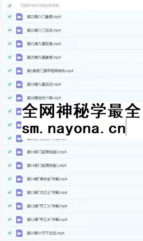 罗江普 时家奇门49集视频