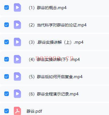 梁兴杨《道家辟谷养生术》 6集视频+课件（梁兴扬）