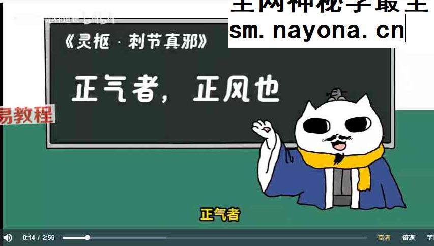 玄学化解必杀技法 易瞳 视频+文档
