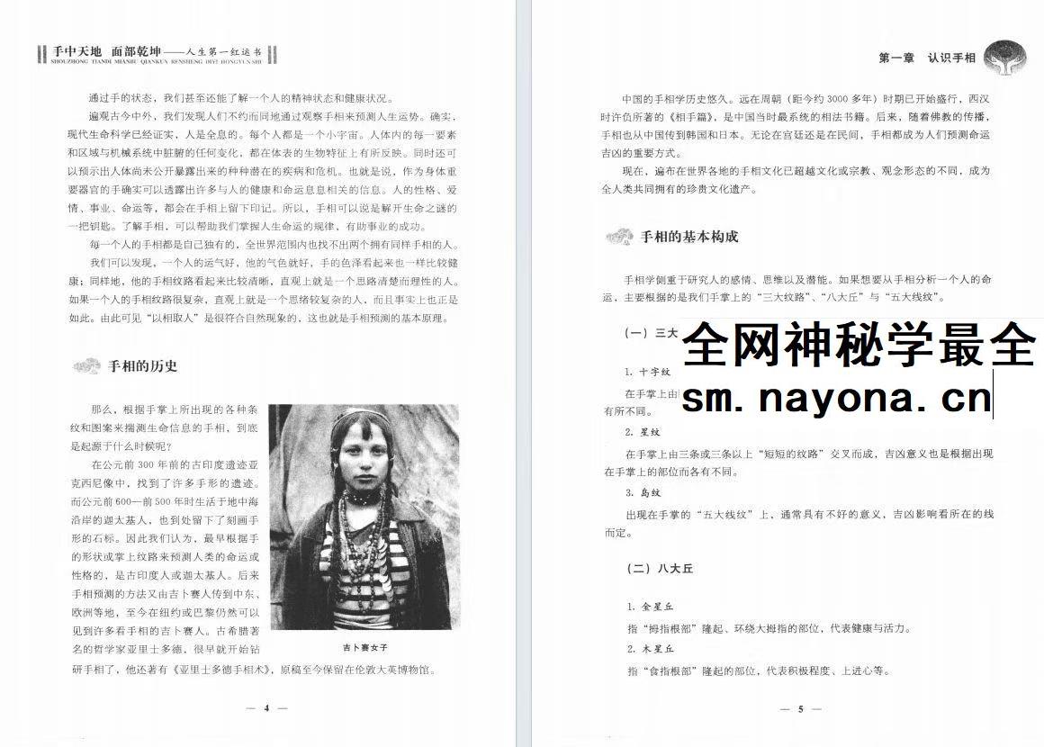 手中天地 面部乾坤 pdf