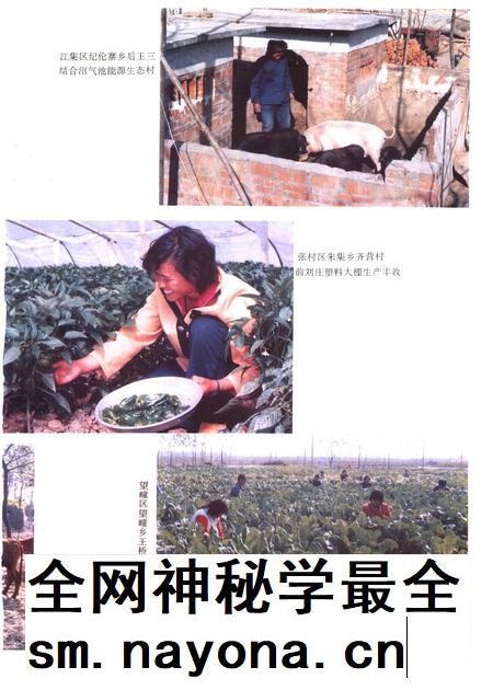 1995版利辛县志.pdf电子版_安徽省志插图5