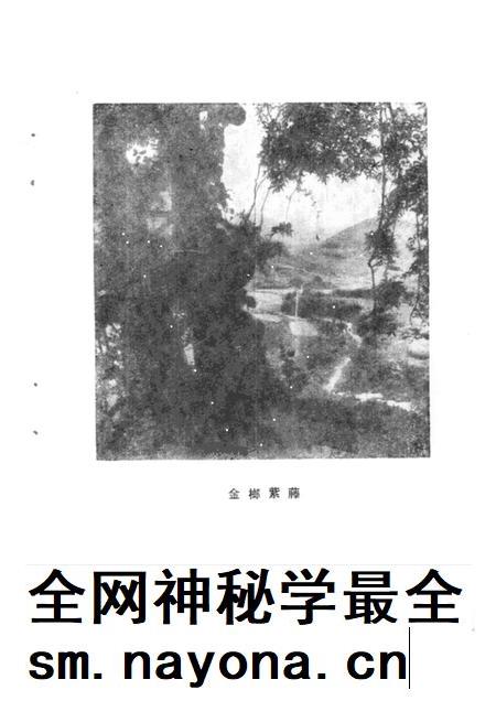 1988版铜陵文史资料选编  第4辑.pdf电子版_安徽省志插图2