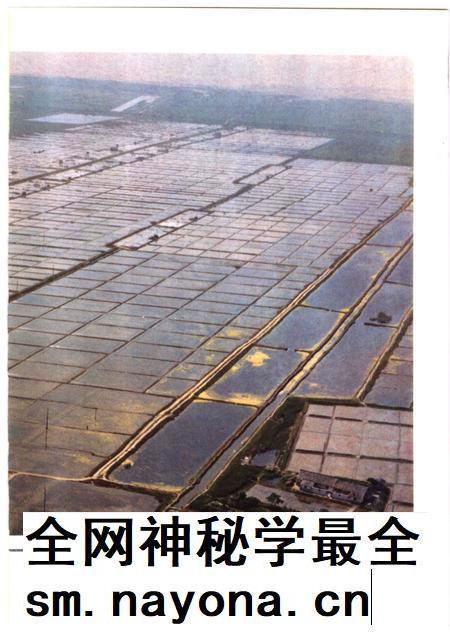 1987-奉贤盐政志.pdf电子版_上海市志插图5