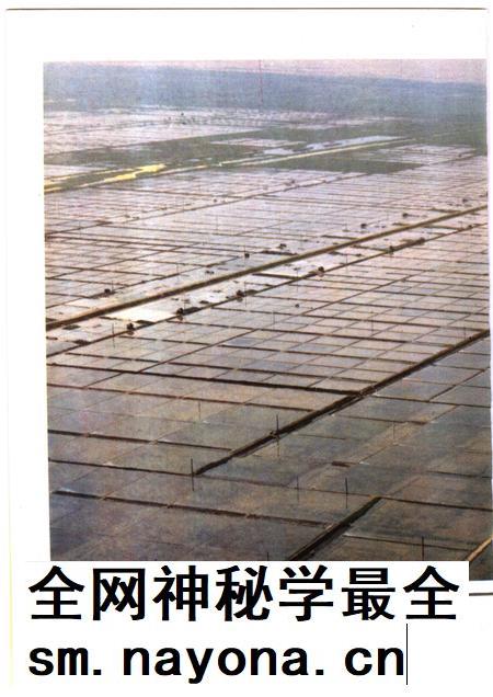 1987-奉贤盐政志.pdf电子版_上海市志插图4