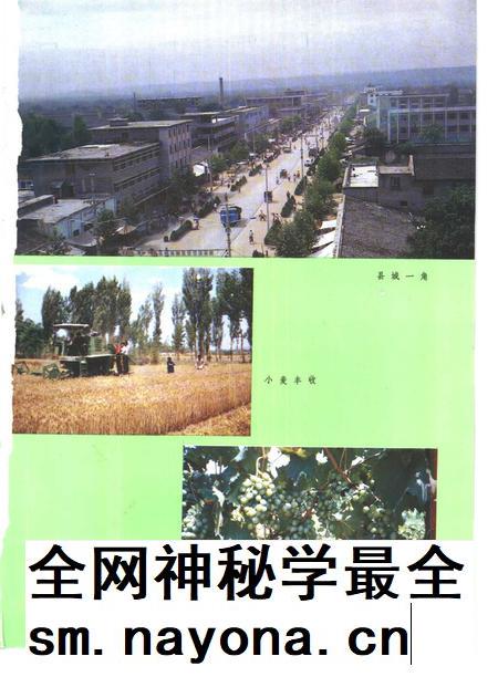 1989-河津县志.pdf电子版_山西省志插图3