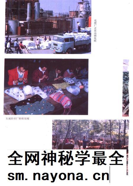 1995版利辛县志.pdf电子版_安徽省志插图4