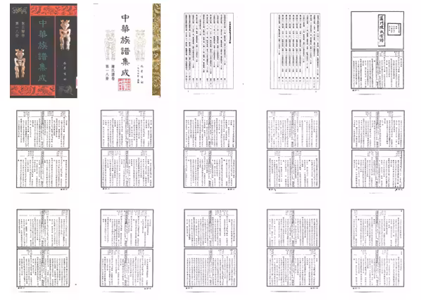C0117_中华族谱集成_陈氏谱卷_第十八册.pdf[地方藏谱] - 家谱