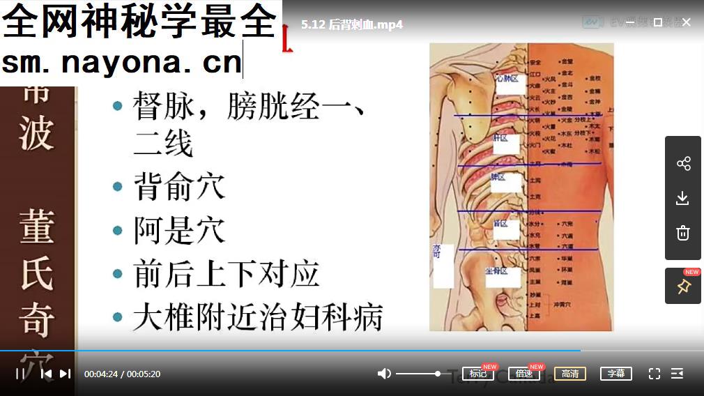 左常波董氏奇穴基础班视频课程全68集超清图文讲解版