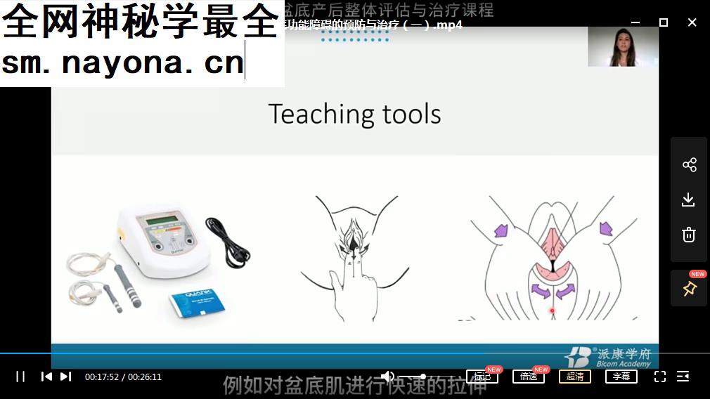 骨盆带盆底产后整体评估与治疗国际课程中文翻译与语音视频课程33集