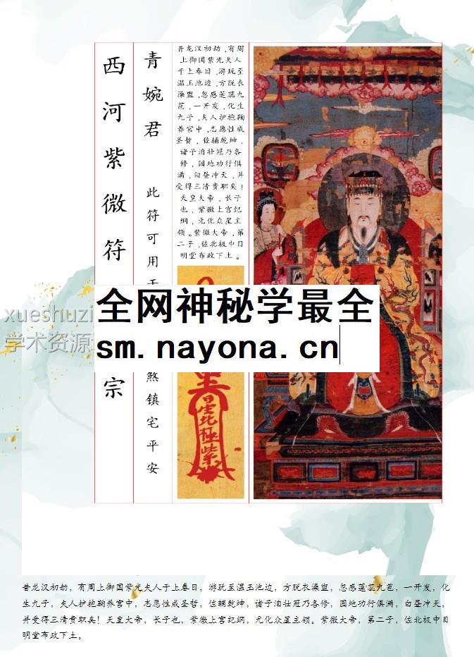 西河紫薇符秘一宗–青婉君插图