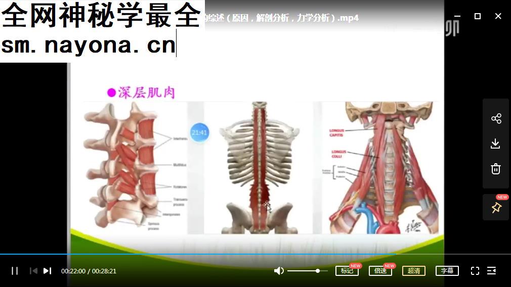 新乡医学院第三临床学院康复医学教研室杨纯生下腰痛诊断与康复视频课程6集