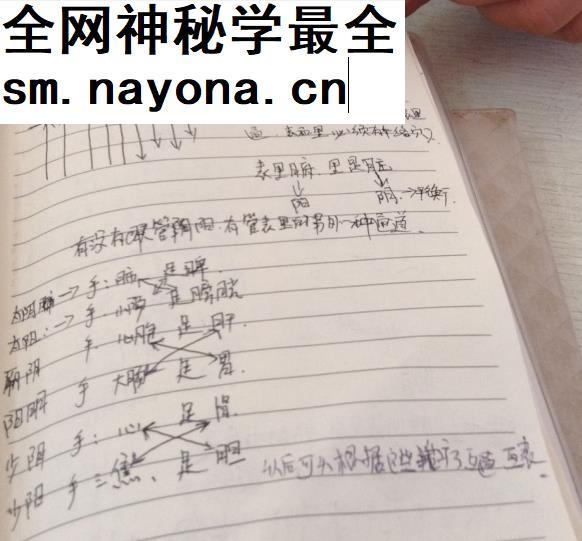 陈正松针灸培训乾坤能量针灸视频教程