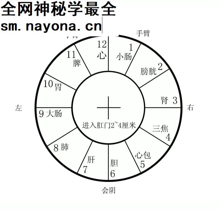 吴金乐根骶疗法视频课程合集肛疗痔疮教程