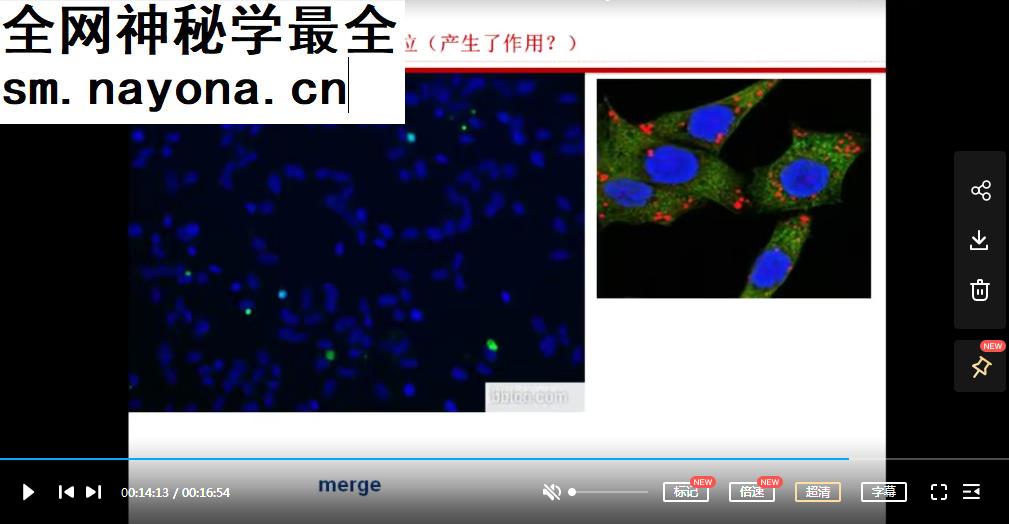 高端SCI论文写作精选套路视频课程14集