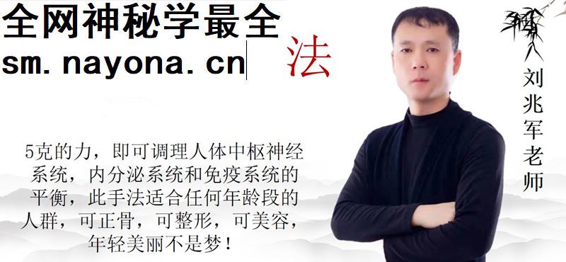 刘兆军颅骶能量疗愈视频课程21集百度云网盘下载下载学习-中医教程-启杰教程网