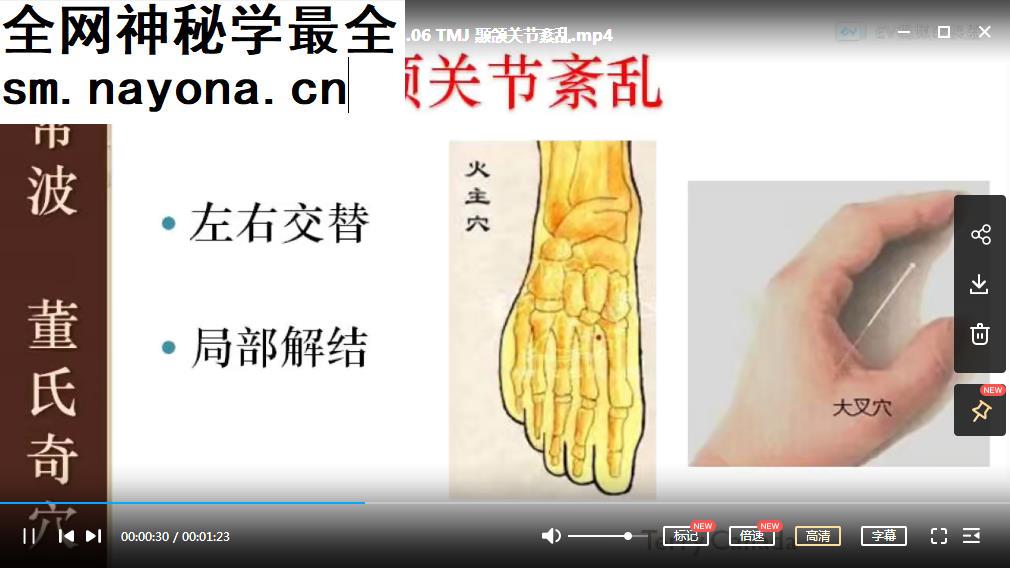 左常波董氏奇穴基础班视频课程全68集超清图文讲解版