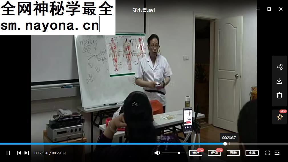 2019年骆安骆氏家传特色气机针法针灸培训班视频课程7集