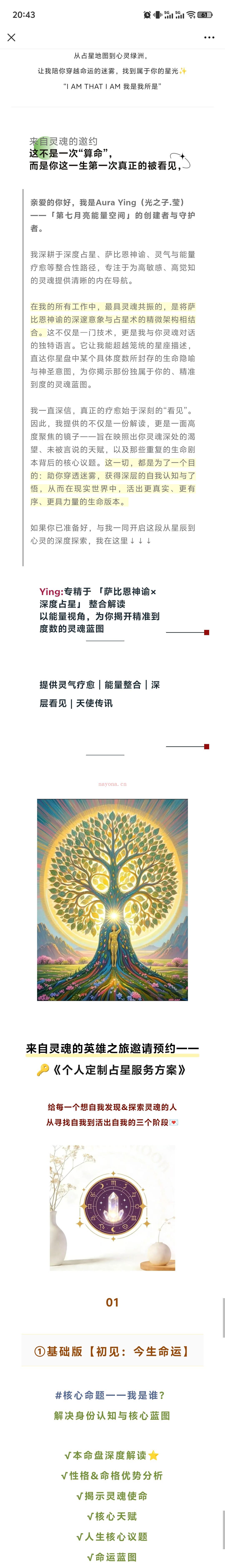 2026年占星＆灵气全深度整合个案项目介绍