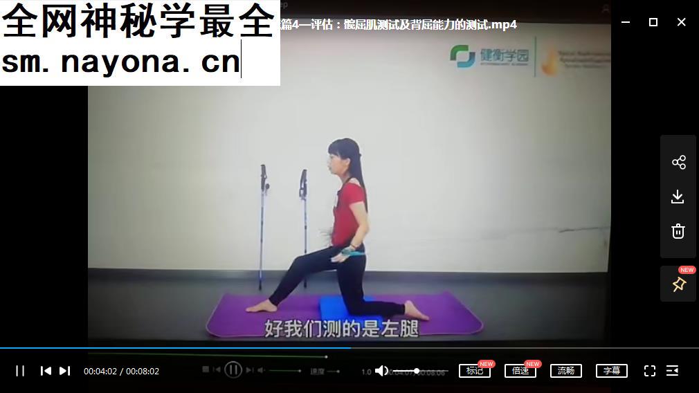 健衡学院芦金金SPS螺旋肌肉链一阶视频课程18集