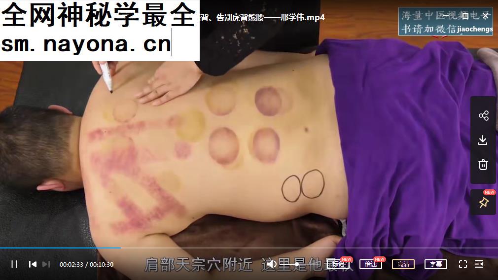 邢学伟艾灸美容秘笈视频课程16讲全艾灸美容教程