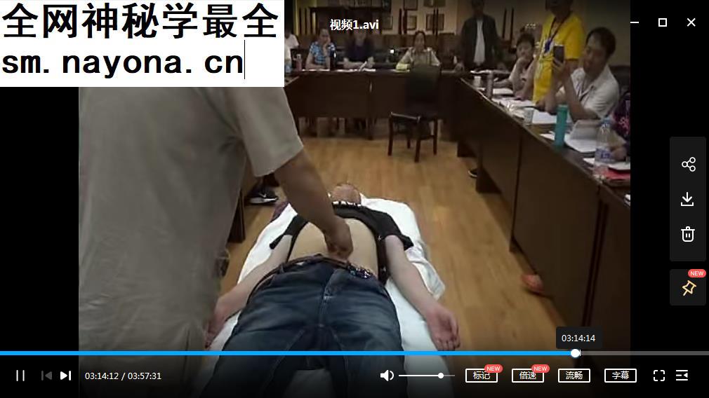 2019年李湛浩降龙针疗法培训班视频课程4集带pdf课件