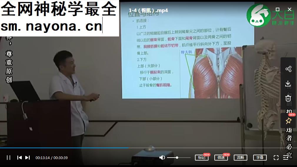丁赵视频教程全集丁赵运动功能解剖学软组织徒手治疗3dbody呼吸与肩痛及脊柱侧弯
