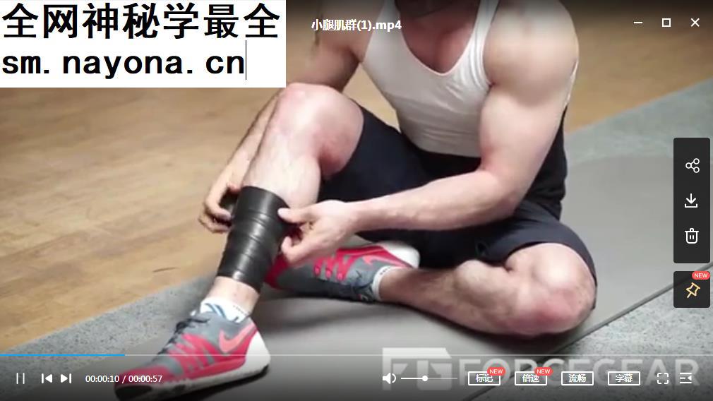 王昊全集王昊体态康复线上课王昊步态与体态课程演示视频教程