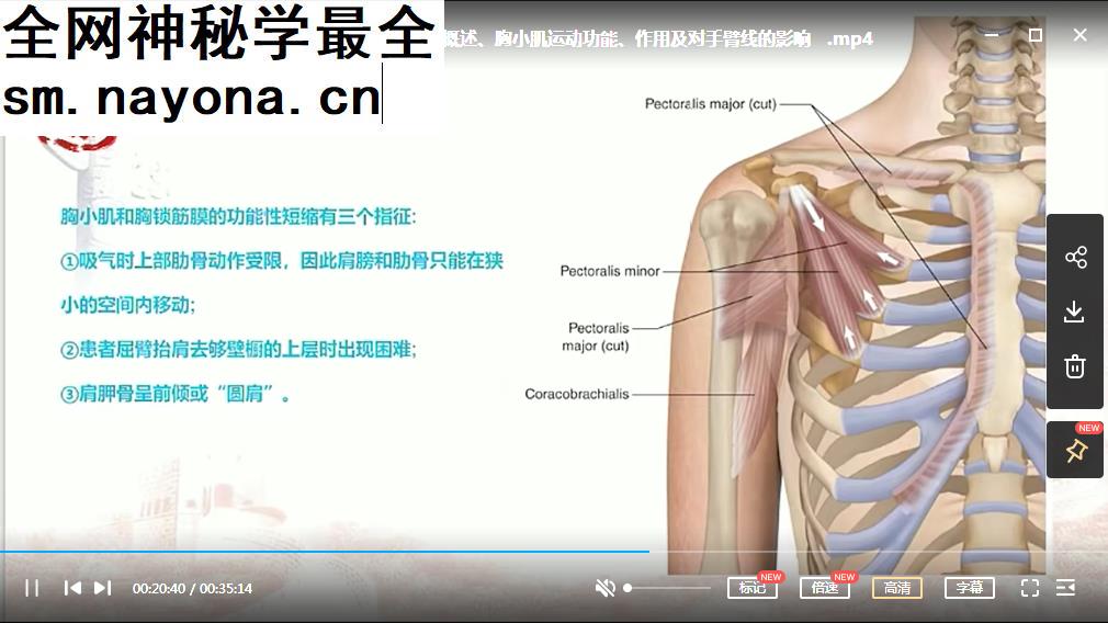 健衡学院解剖列车进入肌筋膜经线的世界徒手与动作治疗的肌筋膜经线视频课程40集