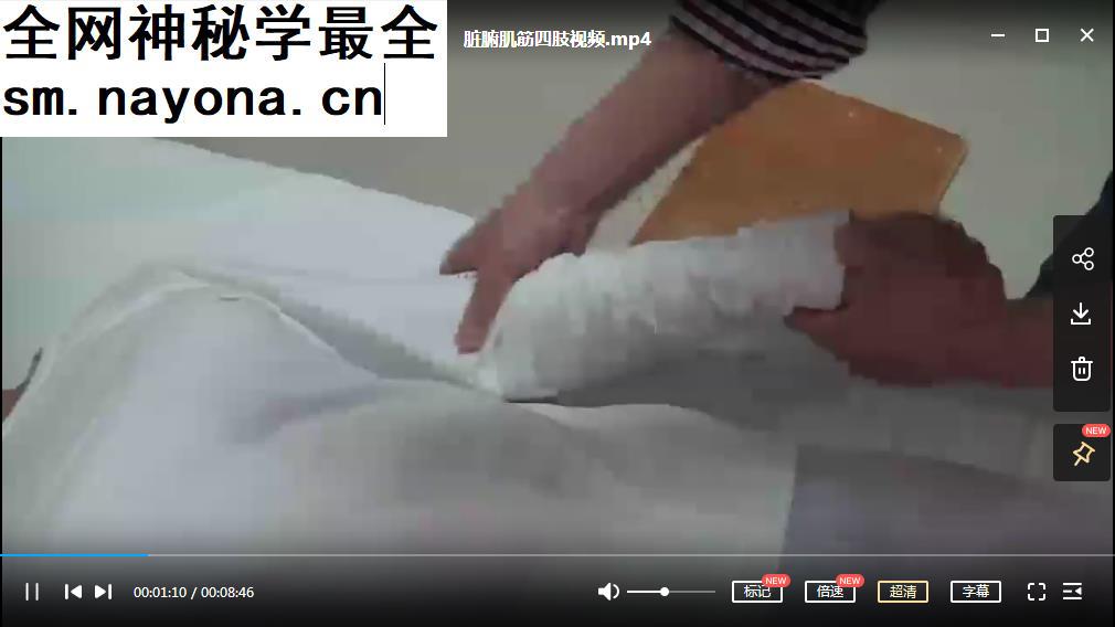 王生玉脏腑归元疗法视频教程脏腑归元全身操作手法教程