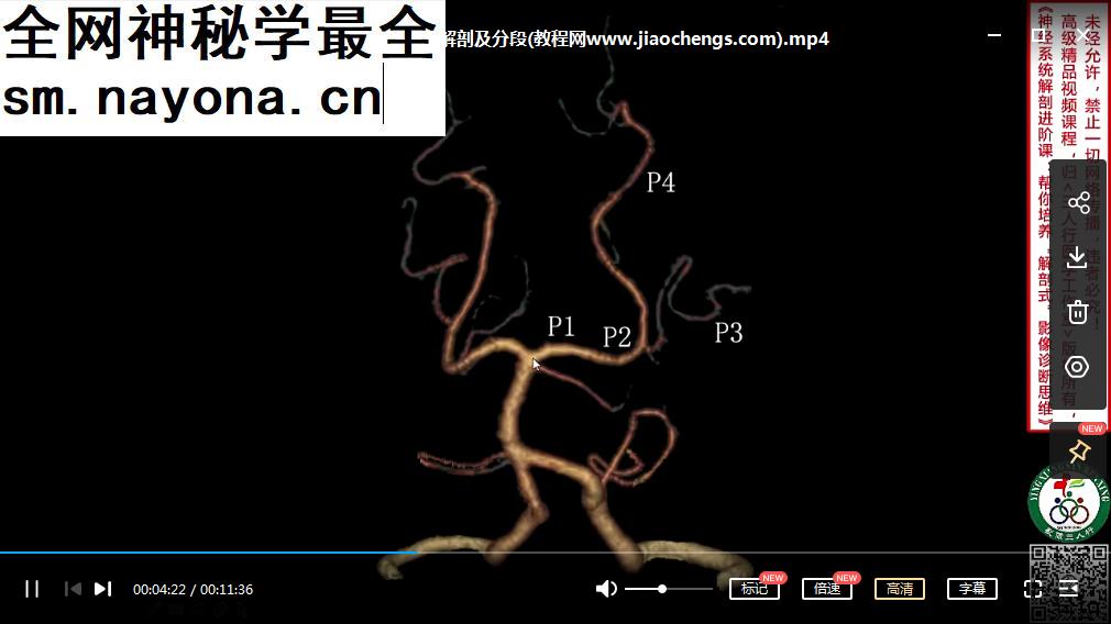 2022年影像三人行神经系统解剖进阶课七大模块111集医学影像学课程