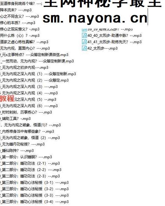 《无为内观秘授》音频42集