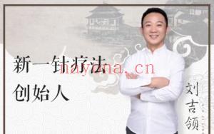 刘吉领 新一针疗法SVIP课，全26讲视频课