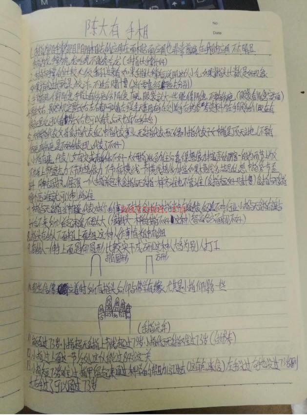陈鼎龙之子陈大有《手相手抄笔记》32页.PDF电子版