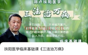 郑卢扶阳医学临床基础课《三法治万病》