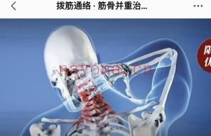 闫喜焕·拨筋通络·筋骨并重治颈痛 23节视频课程+完整答疑】课程分享给你​​​​​