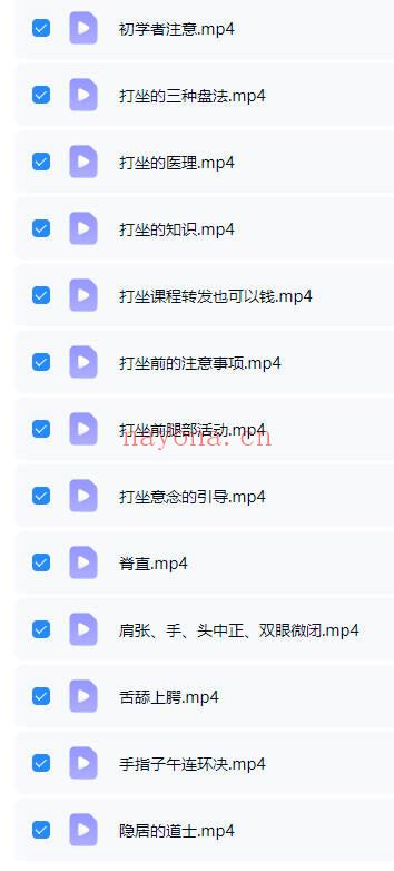 《打坐 养生 养身延寿 开智增慧》视频课13集