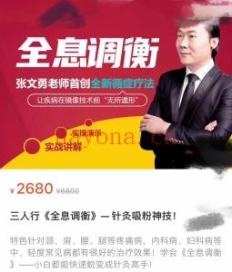 张文勇中国调衡针灸调衡微针全息调衡课程百度网盘分享