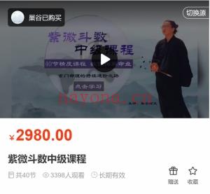 紫薇斗数初级中级高级课程 视频课