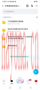 王昊黄金体态大师班 《腰椎间盘突出》+《脊柱侧弯》+《短后足》+《产后修复》整体方案和思路