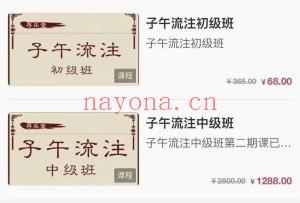 王存乐五运六气子午流注子午运气小儿推拿初中高课程
