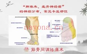 赵鹏飞 “脚麻、坐骨神经痛”的神经分布、卡压部位与调理手法 全3讲视频课