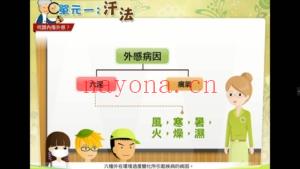 台湾版中医课程4套(中医临床简介6讲+中药概论10讲+中药炮制应用6讲+中药临床运用6讲)共28讲高清视频