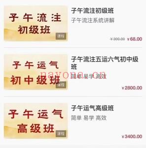 王存乐五运六气子午流注子午运气小儿推拿初中高课程