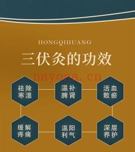 任媛媛主讲《三伏灸实操训练营》