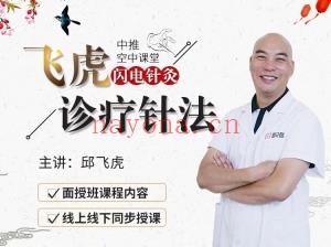 邱飞虎 飞闪虎电针 诊针疗法 线线上下同步教学视频课分享给你