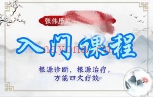 张伟序贯四套课程