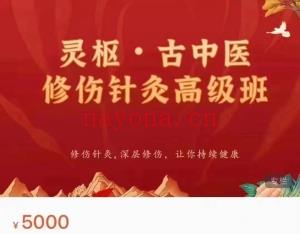 红杏林精品课程合集