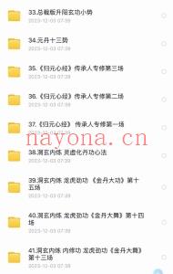 洞玄合集小周天天罡胎息功易经洗髓功弟子班消水悟元丹十三势课程